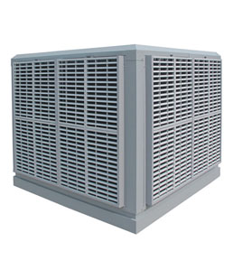 1758009807.jpg 2b35ded3-fa77-4587-a9e8-7050bc50b296 - 副本.jpg